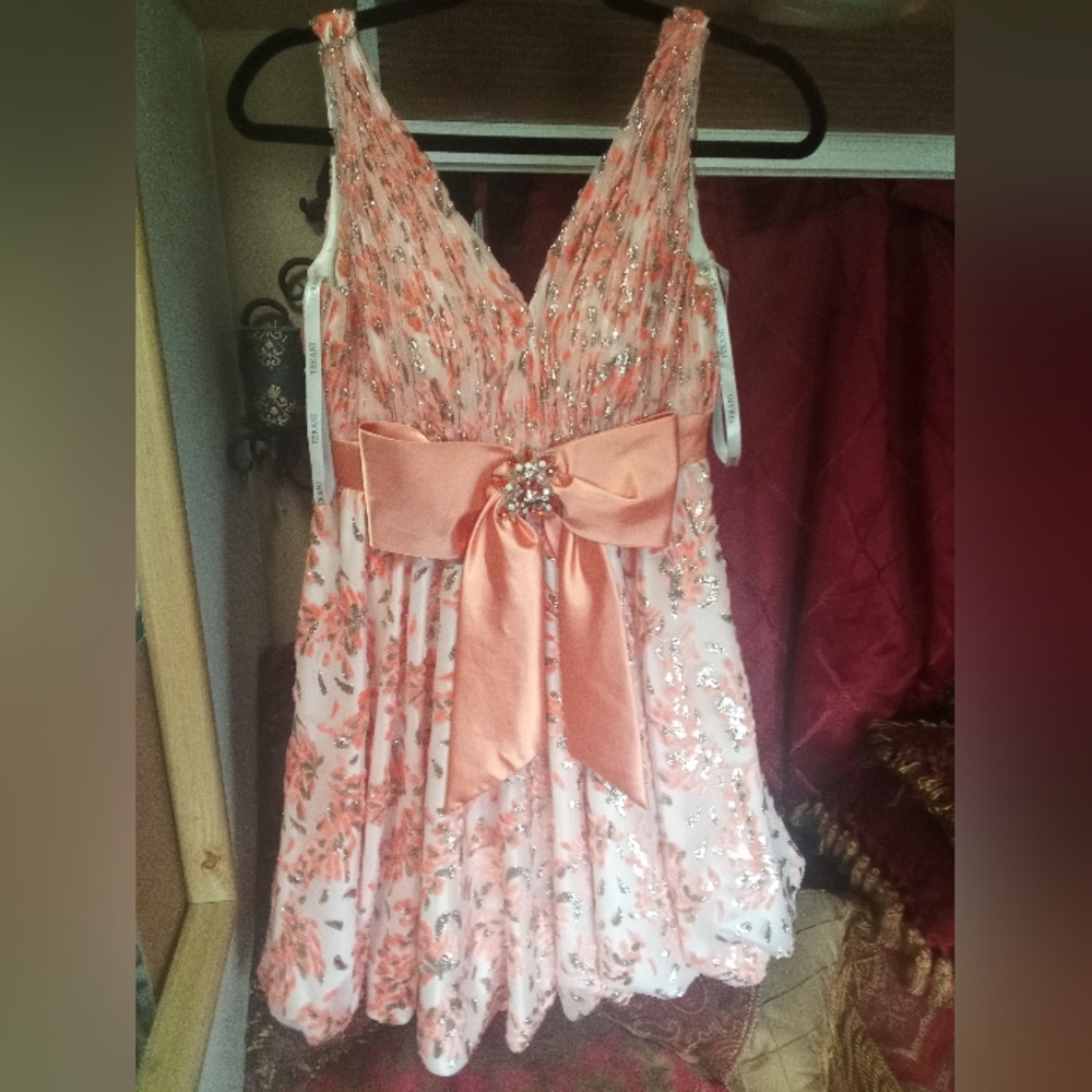 TERANI PROM OR HOMECOMING DRESS GORGEOUS